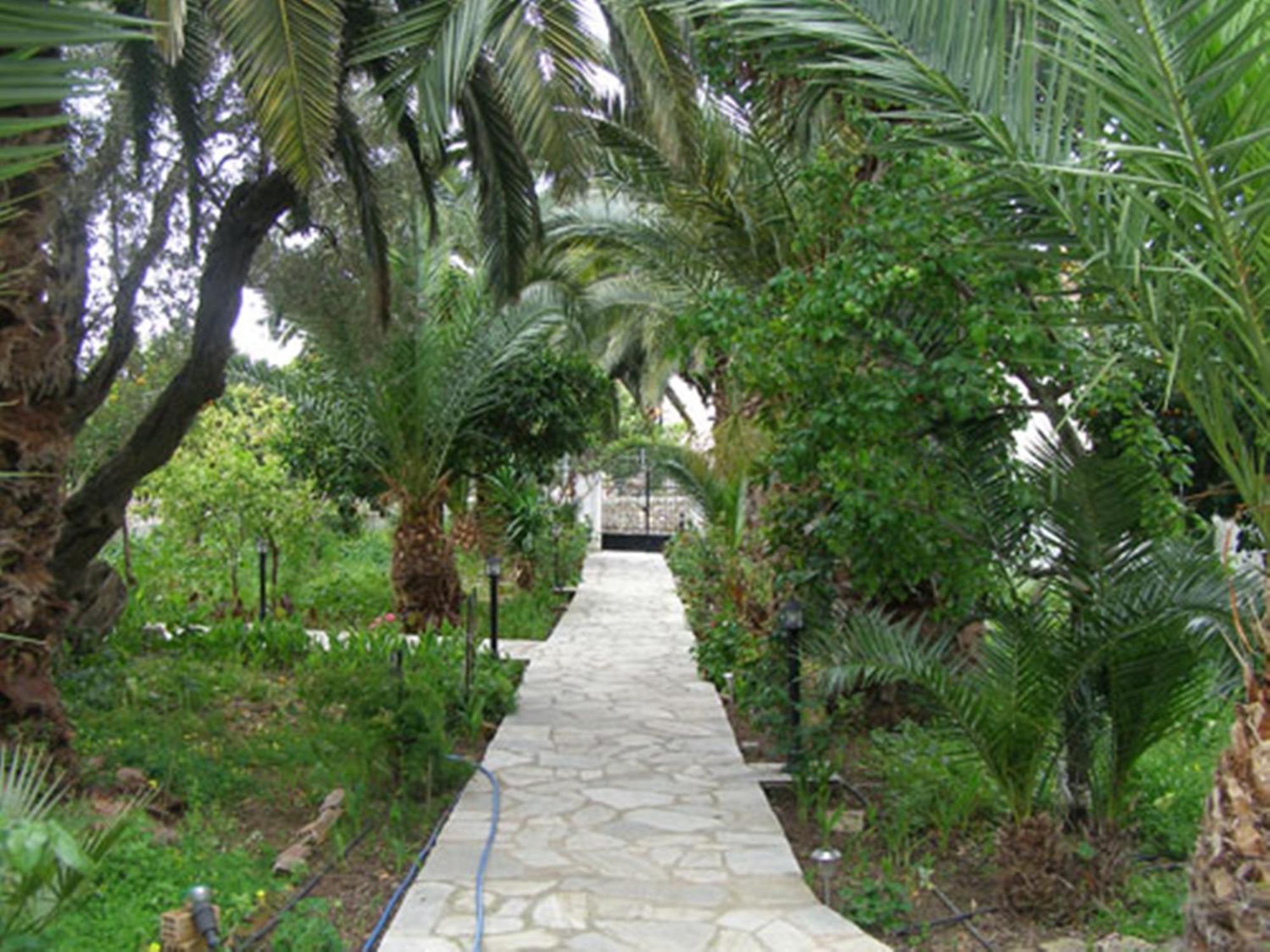 Menelaos Apartments ليفوكاسترو المظهر الخارجي الصورة