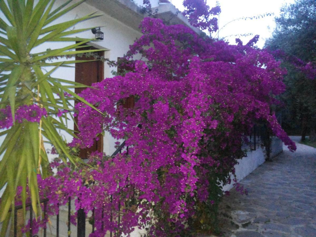 Menelaos Apartments ليفوكاسترو المظهر الخارجي الصورة